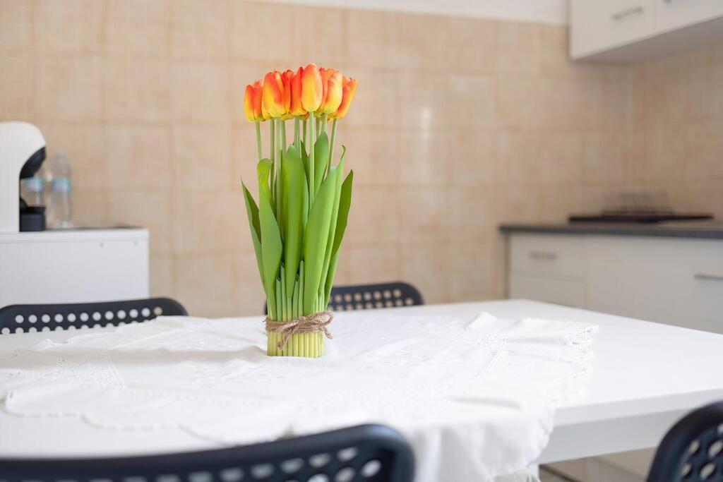 Casa Dello Zio Vincenzo Apartment Bordighera